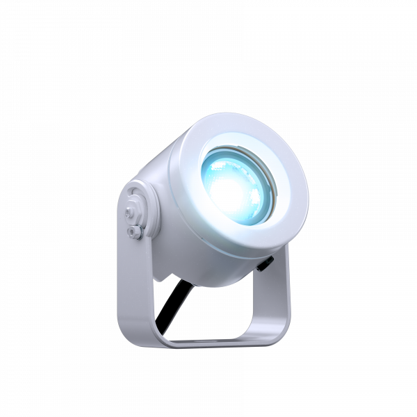 DOCTUS.d 1 FC - Image 3