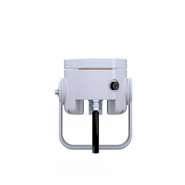 DOCTUS.d 1 FC - Image 4