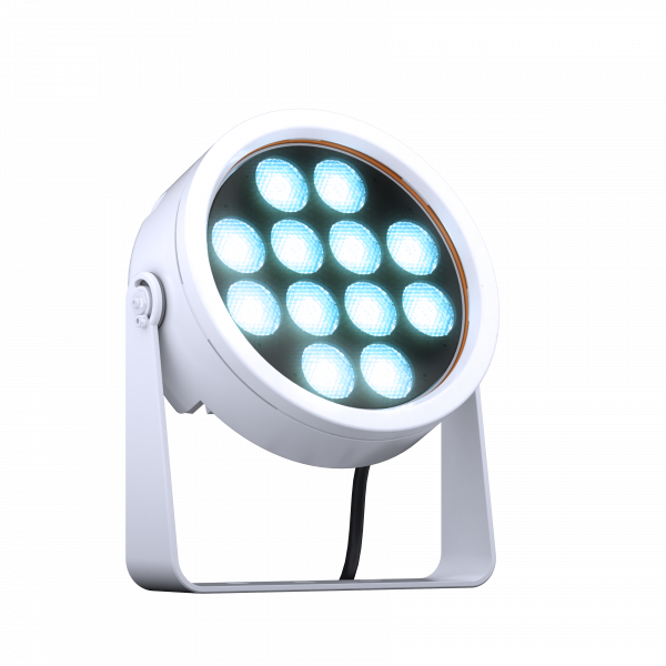 DOCTUS.d 12 FC