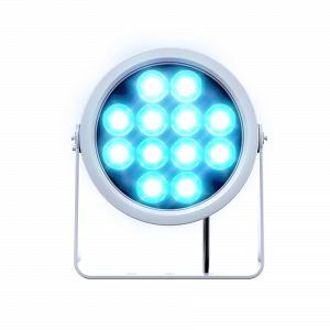 DOCTUS 12 FC