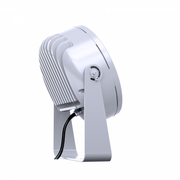 DOCTUS.d 12 FC - Image 2