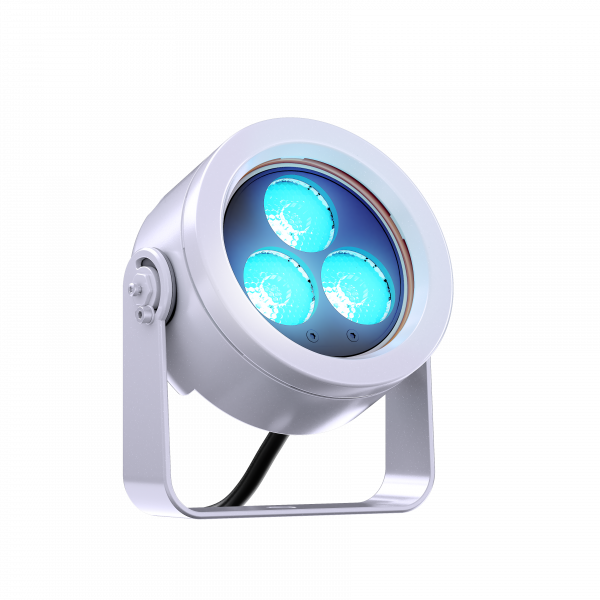 DOCTUS.d 3 FC - Image 4