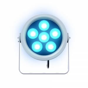 DOCTUS 6 FC