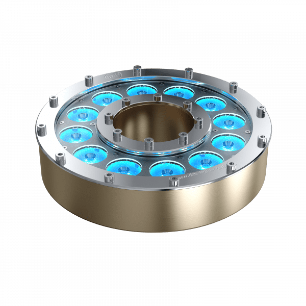 DONUT 12 N - Image 6