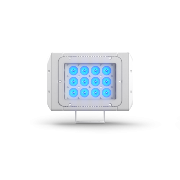 Brick 12